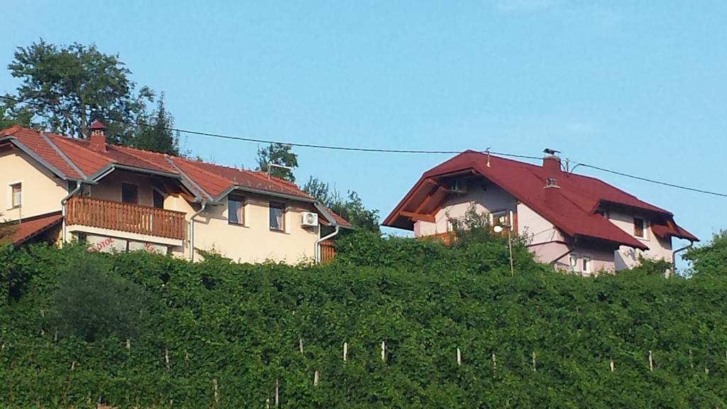Apartment House Sumrak Bizeljsko Экстерьер фото